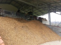 LEGNO CIPPATO con Potere calorifico: min. 1.8 KWH/Kg/ kg